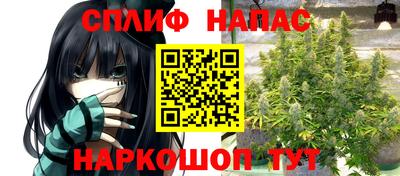 крисы Заводоуковск