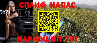 крисы Заводоуковск